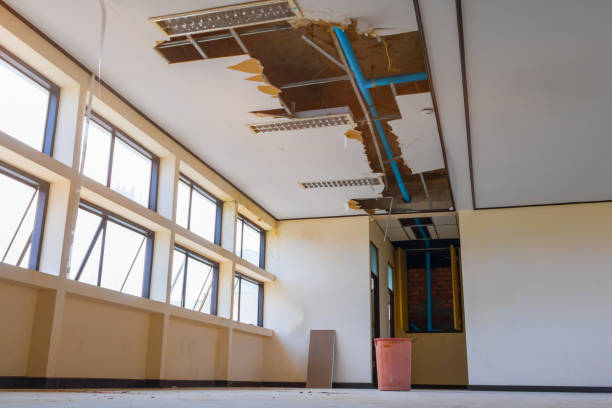 Best Water damage restoration company  in Lockport, IL