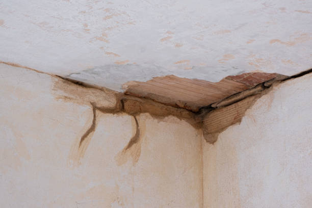 Best Water damage restoration near me  in Lockport, IL