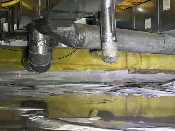 Best Professional water damage repair  in Lockport, IL