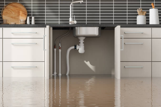 Best Sewage cleanup and water damage restoration  in Lockport, IL