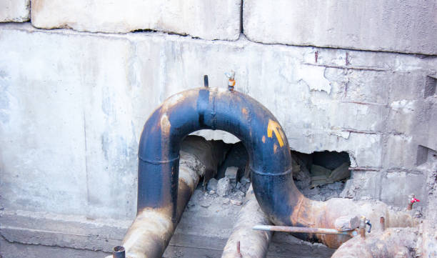 Best Water damage cleanup near me  in Lockport, IL