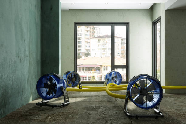 Best Water damage restoration experts  in Lockport, IL